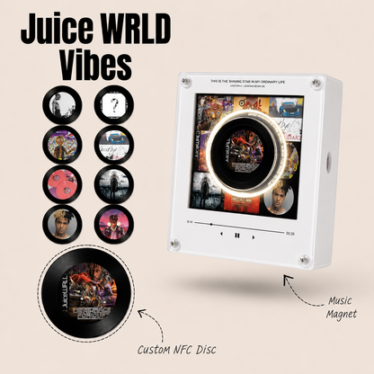 The Magnetic Vinyl Music Box